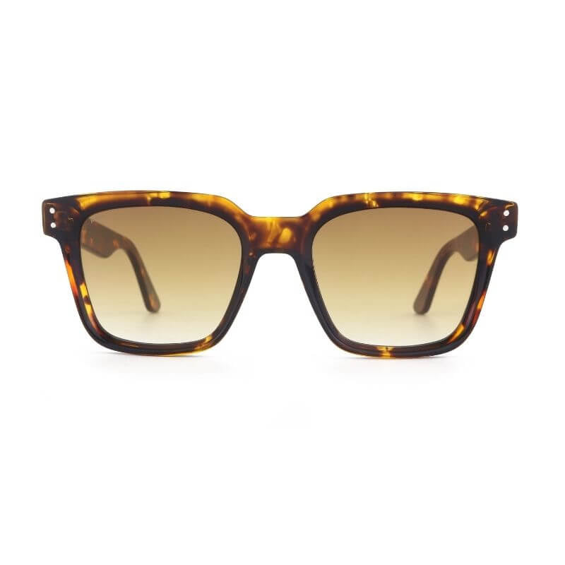 Eagle - Bio Acetate Sunglasses - Willow & Luna