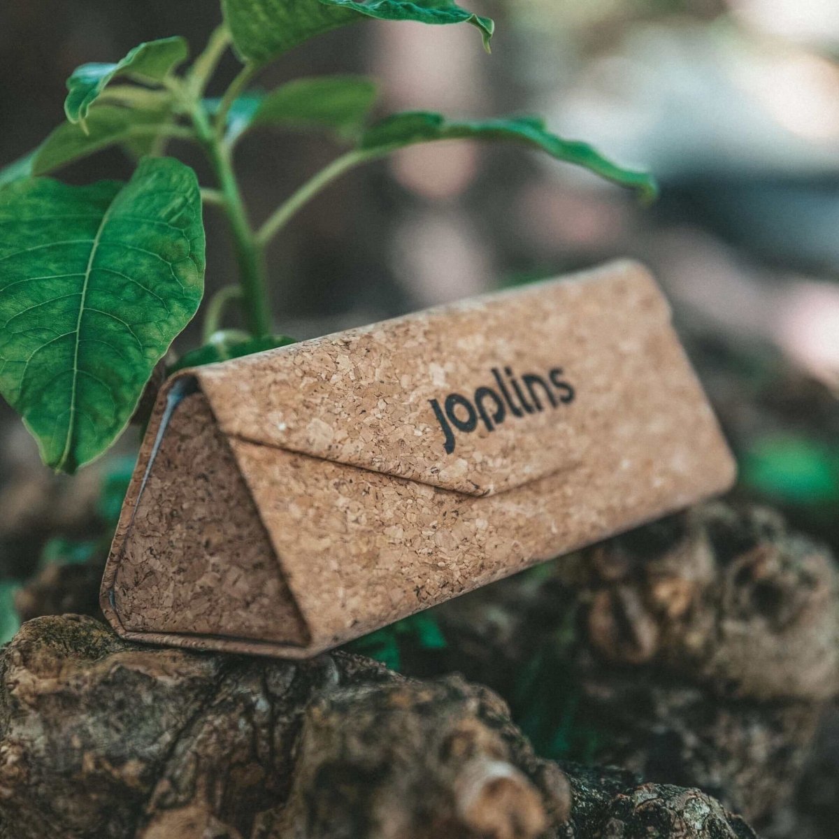 Fold & Go - Tri - fold Sunglasses Cork Case - Willow & Luna
