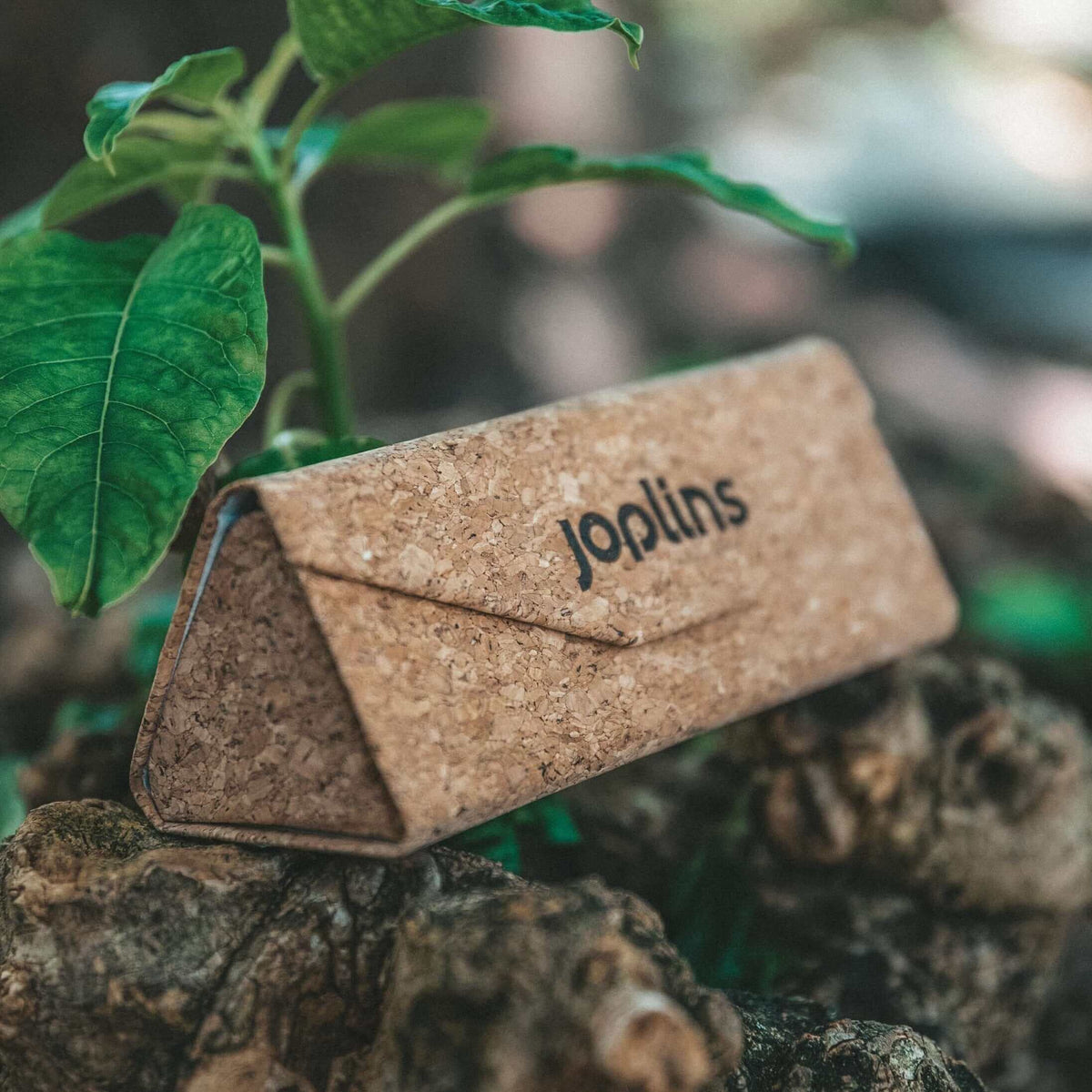 Fold & Go - Tri-fold Cork Sunglasses Case