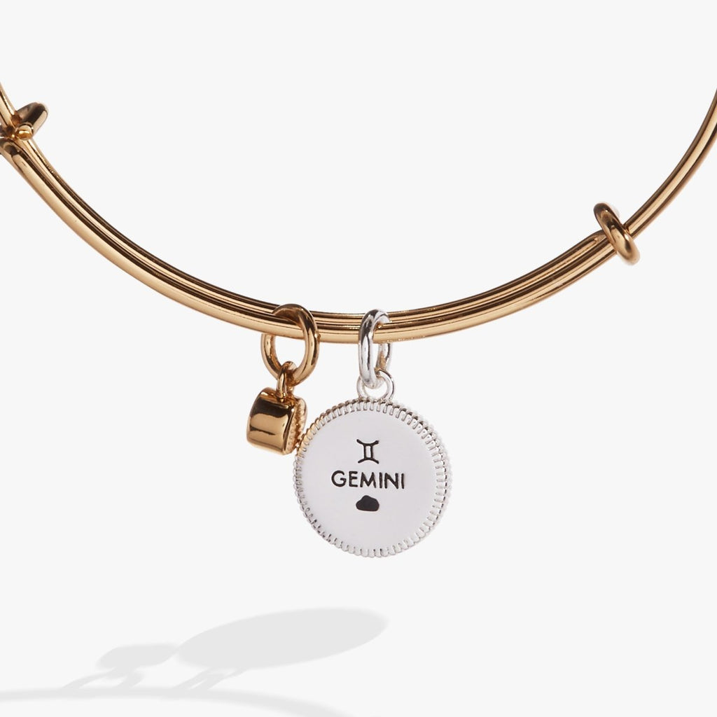 Gemini Zodiac Charm Bangle - Willow & Luna