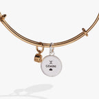 Gemini Zodiac Charm Bangle - Willow & Luna