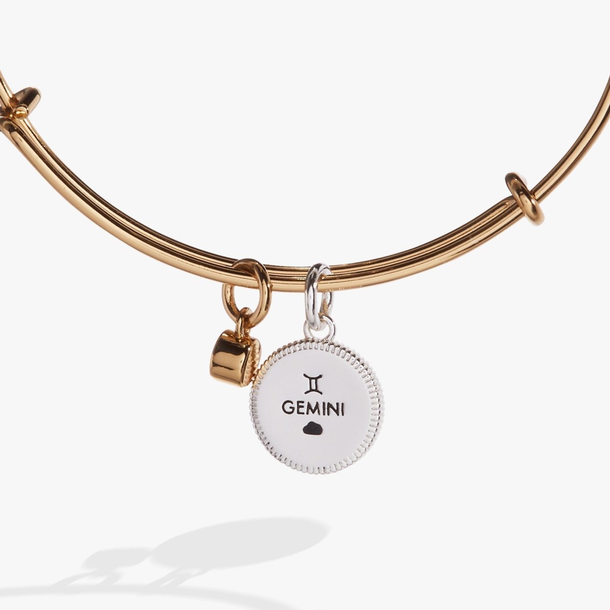 Gemini Zodiac Charm Bangle - Willow & Luna