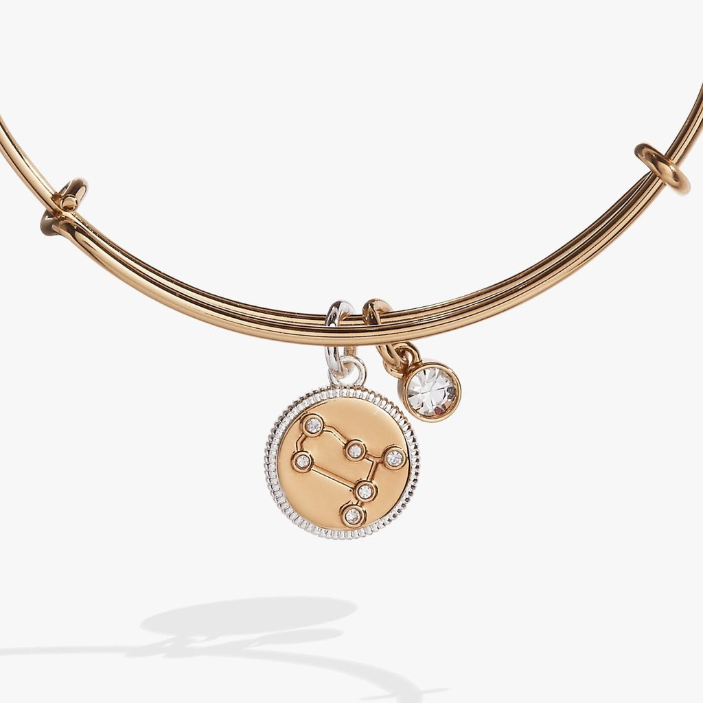 Gemini Zodiac Charm Bangle - Willow & Luna