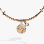 Gemini Zodiac Charm Bangle - Willow & Luna