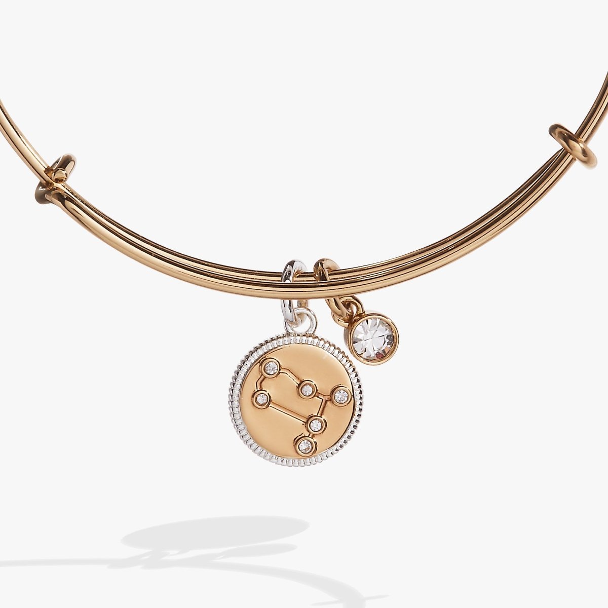 Gemini Zodiac Charm Bangle - Willow & Luna