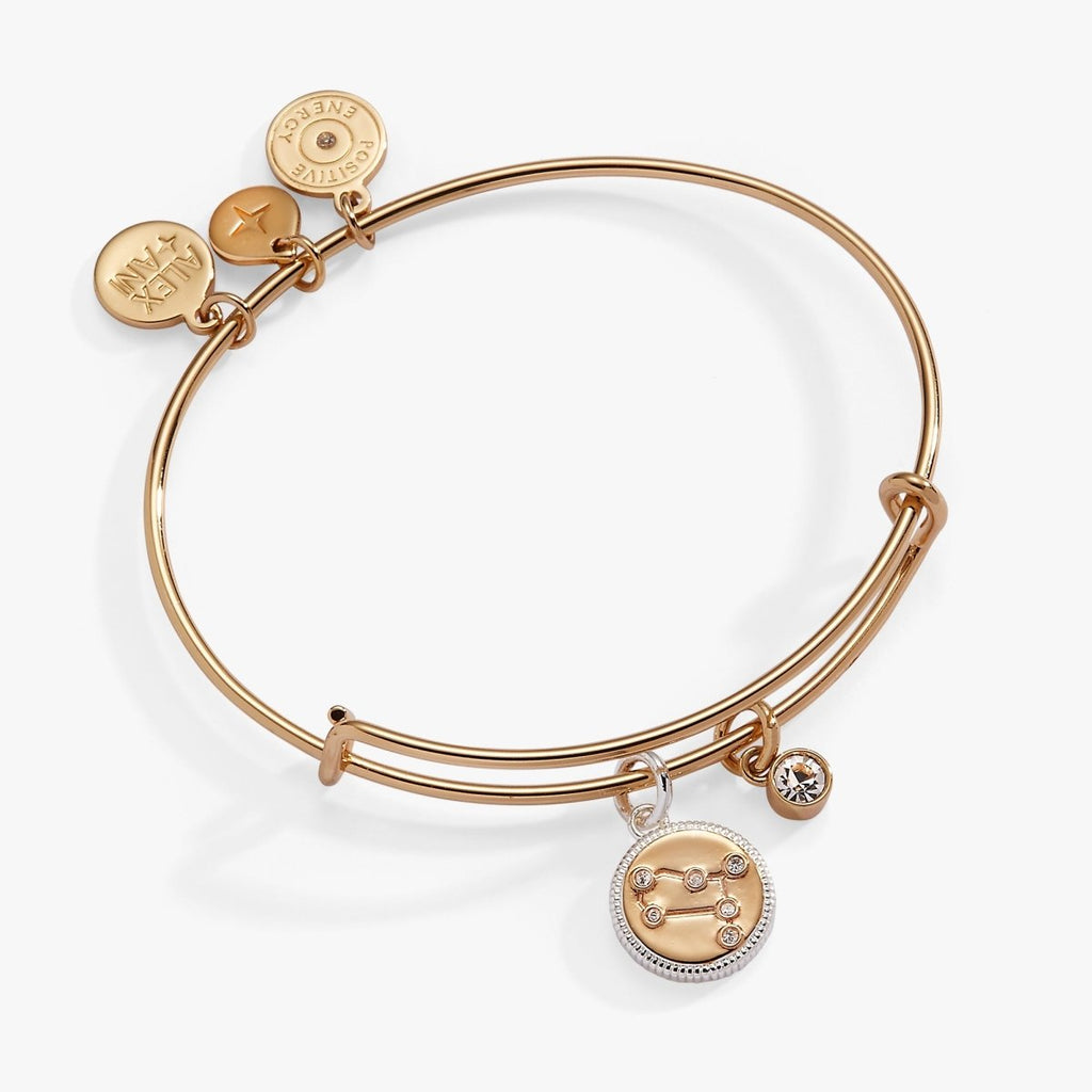 Gemini Zodiac Charm Bangle - Willow & Luna