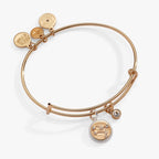 Gemini Zodiac Charm Bangle - Willow & Luna