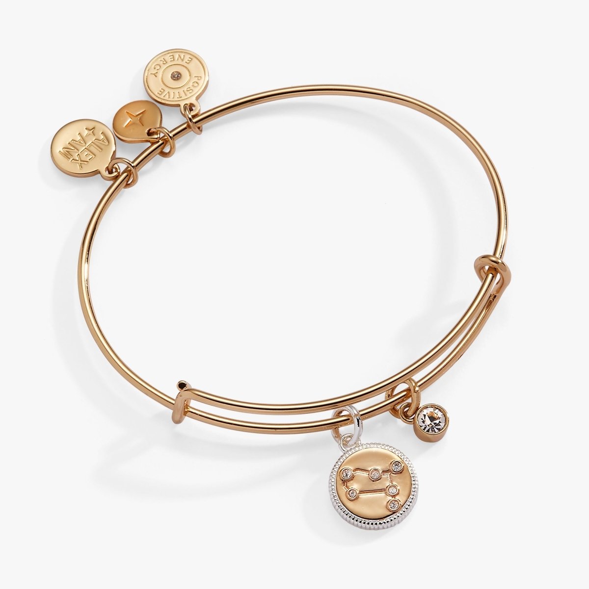 Gemini Zodiac Charm Bangle - Willow & Luna