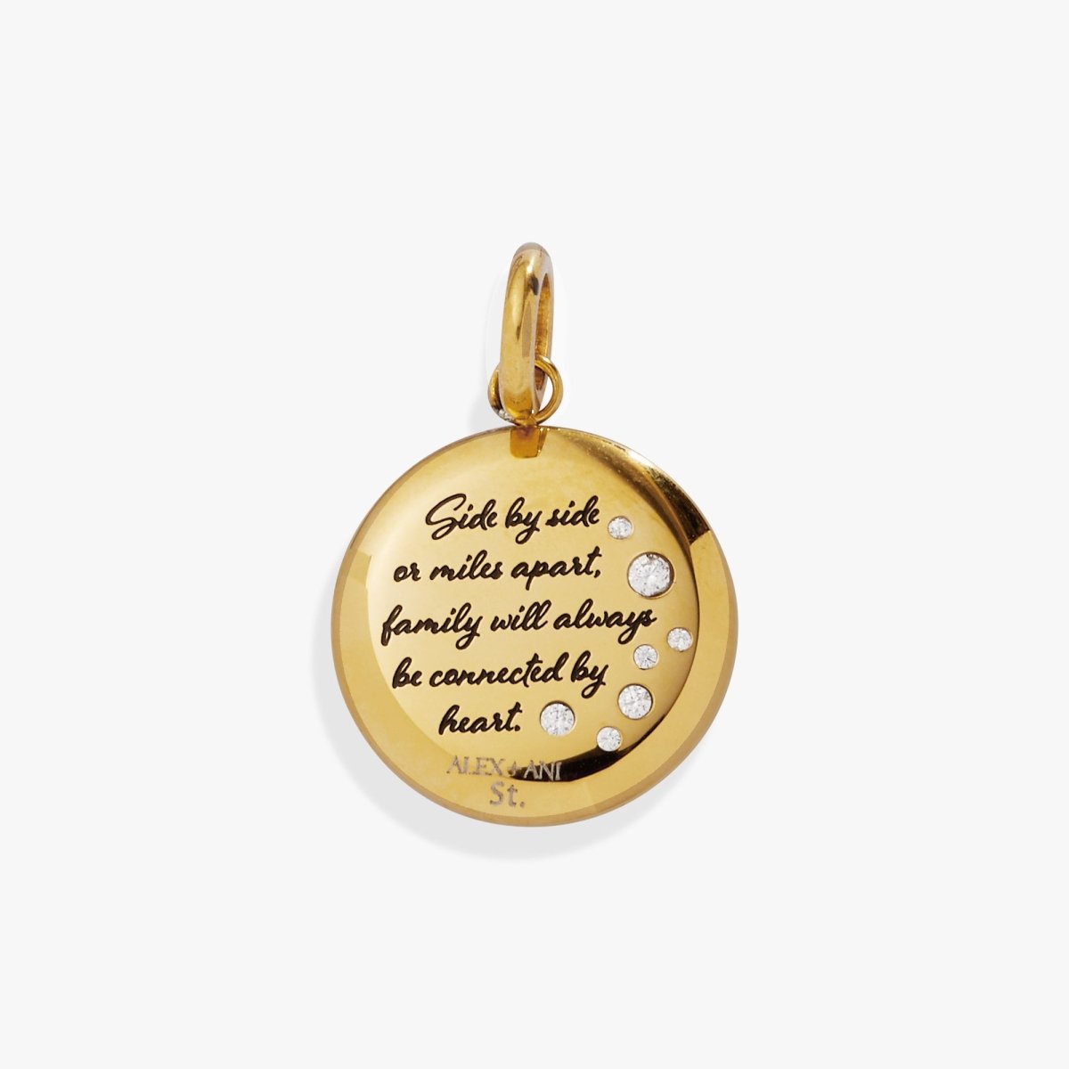 Grandma Hummingbird Disc Charm - Willow & Luna
