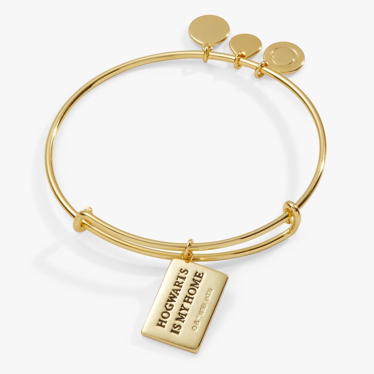Harry Potter™ Acceptance Letter Charm Bangle - Willow & Luna