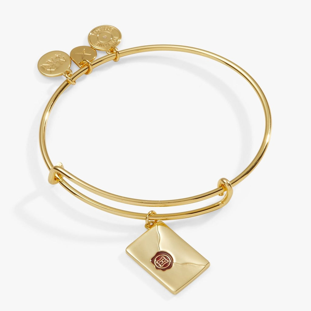 Harry Potter™ Acceptance Letter Charm Bangle - Willow & Luna