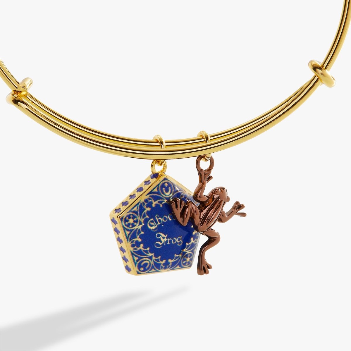 Harry Potter™ Chocolate Frog Two - Charm Bangle - Willow & Luna