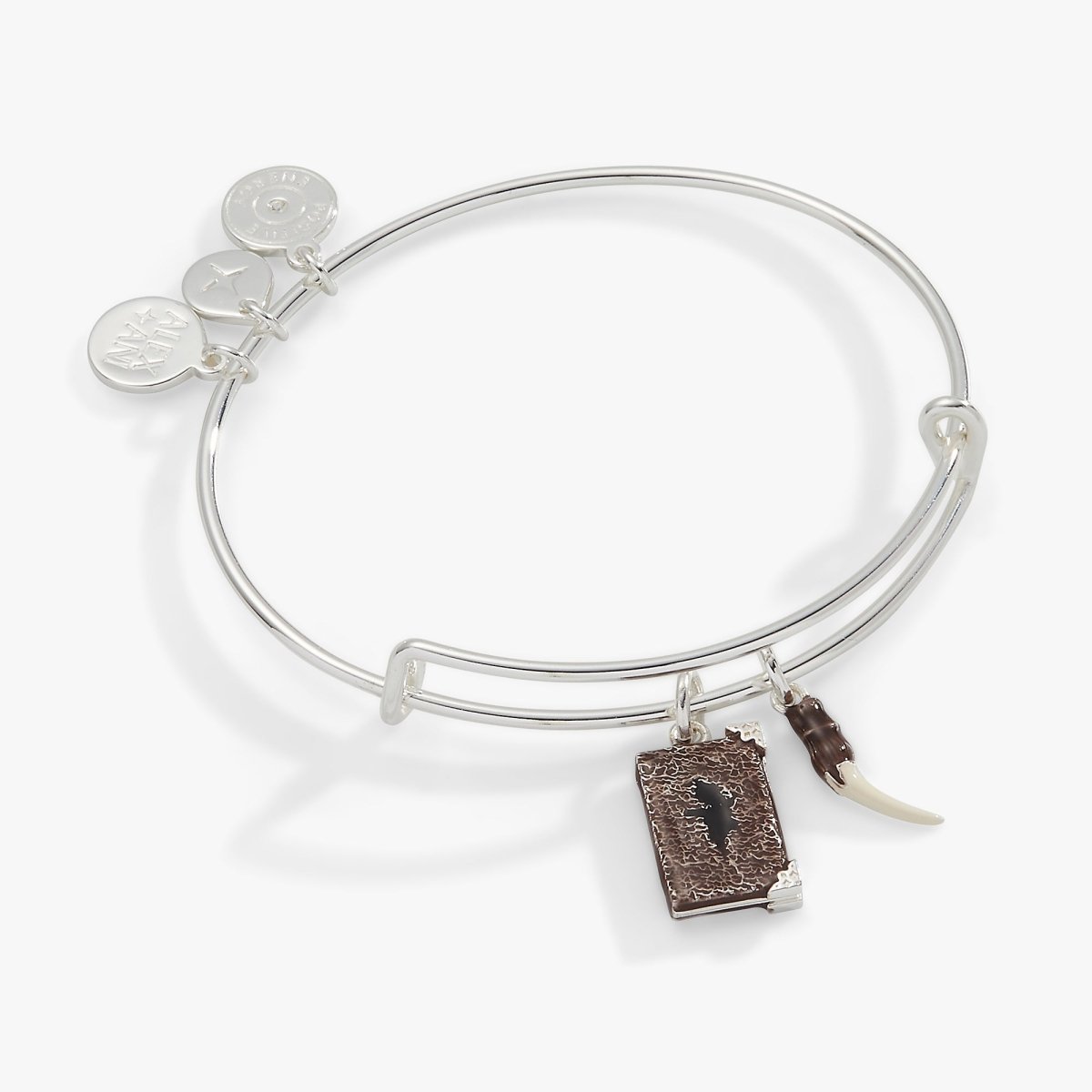 Harry Potter™ Diary and Basilisk Fang Bangle - Willow & Luna