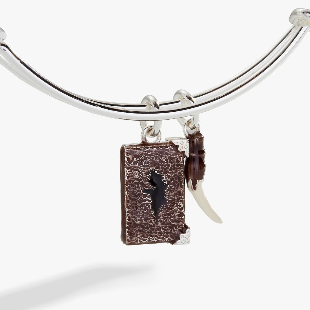 Harry Potter™ Diary and Basilisk Fang Bangle - Willow & Luna