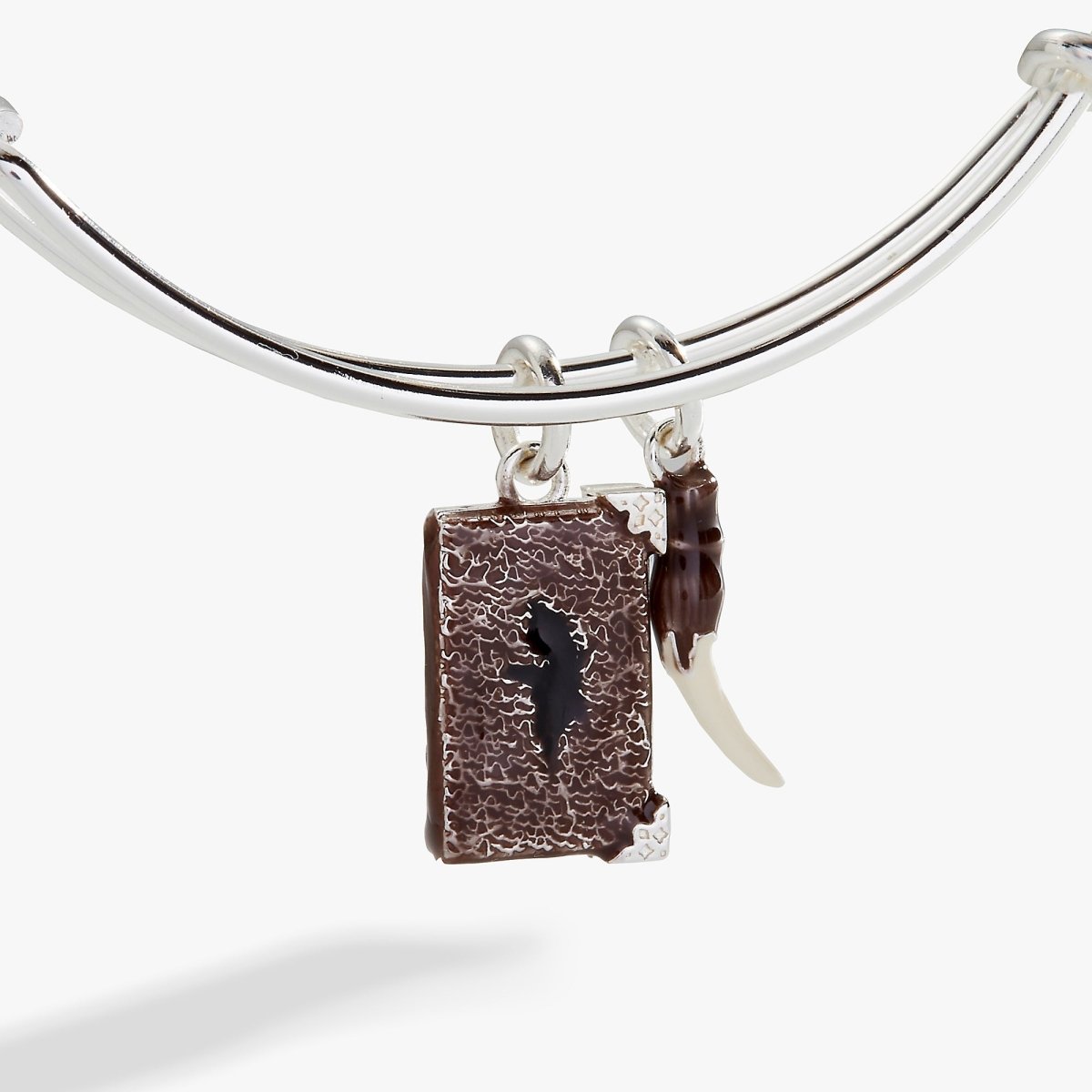 Harry Potter™ Diary and Basilisk Fang Bangle - Willow & Luna