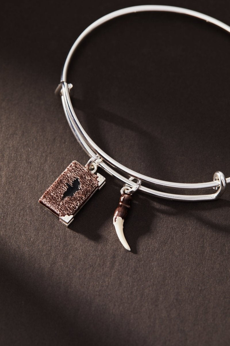 Harry Potter™ Diary and Basilisk Fang Bangle - Willow & Luna
