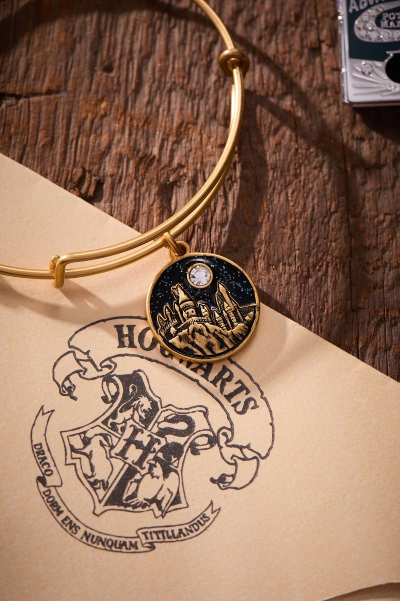 Harry Potter™ Hogwarts™ Castle Charm Bangle - Willow & Luna