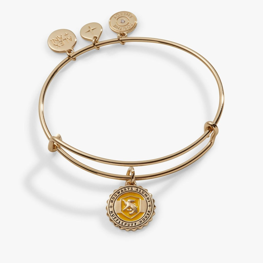 Harry Potter™ Hufflepuff House Charm Bangle - Willow & Luna