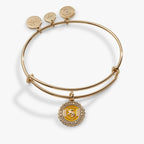 Harry Potter™ Hufflepuff House Charm Bangle - Willow & Luna