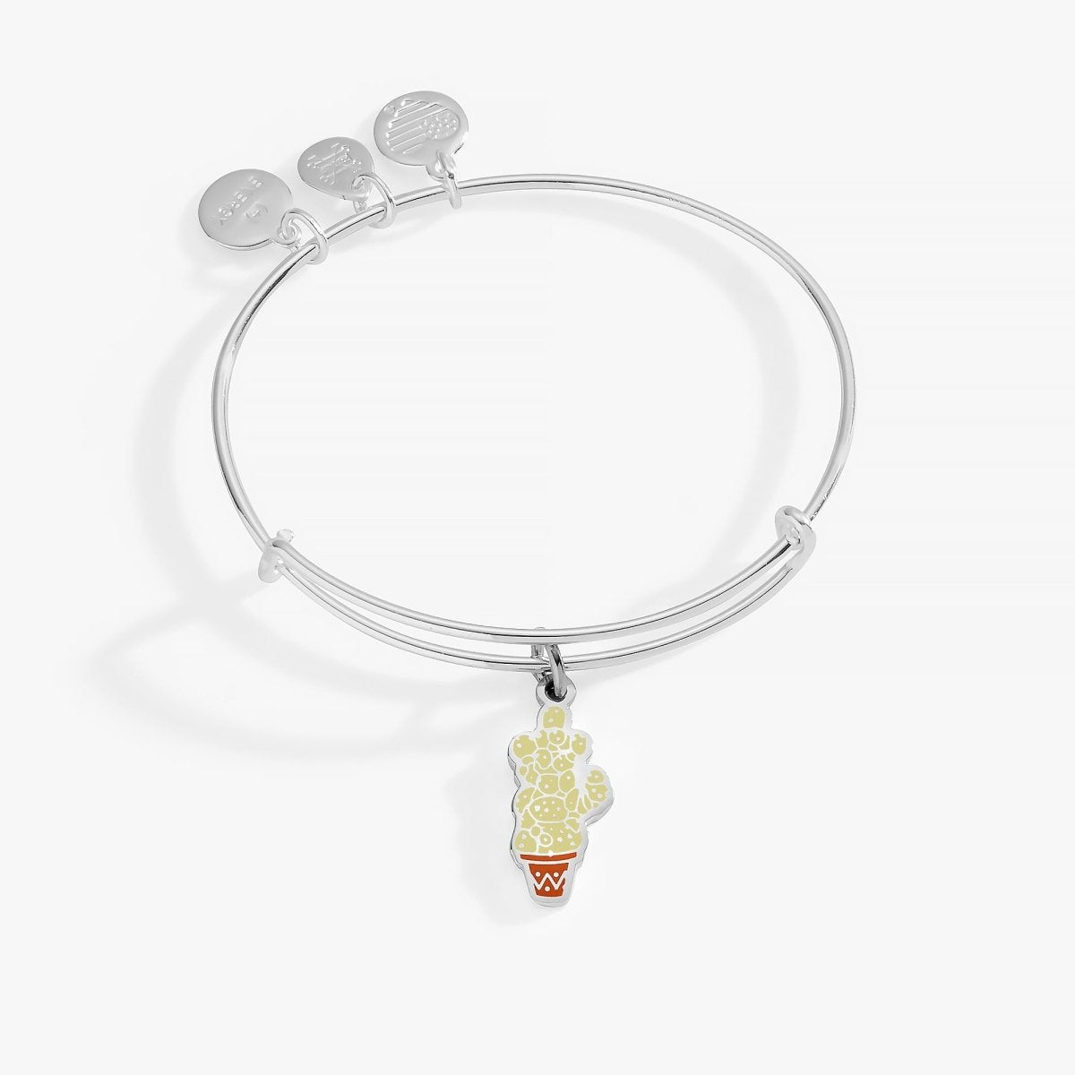 Harry Potter™ Neville Mimbulus Mimbletonia Cactus Charm Bangle - Willow & Luna