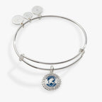 Harry Potter™ Ravenclaw House Charm Bangle - Willow & Luna