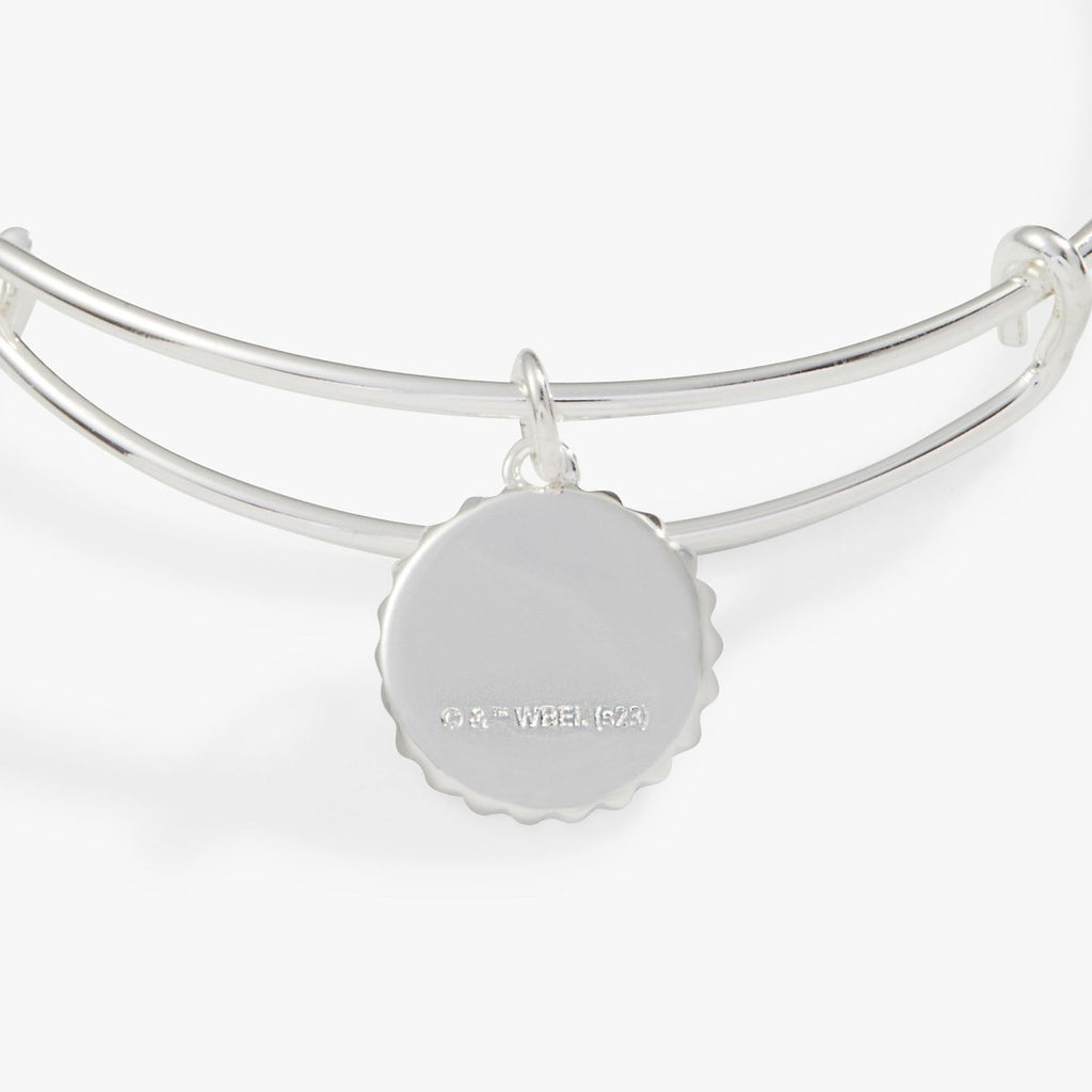 Harry Potter™ Slytherin House Charm Bangle - Willow & Luna