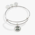 Harry Potter™ Slytherin House Charm Bangle - Willow & Luna
