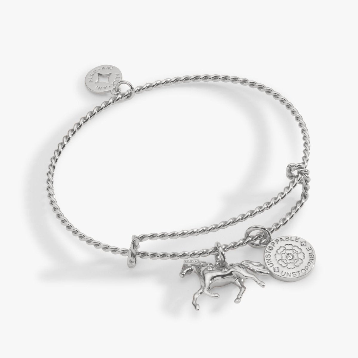 Horse Rope Textured Charm Bangle - Willow & Luna
