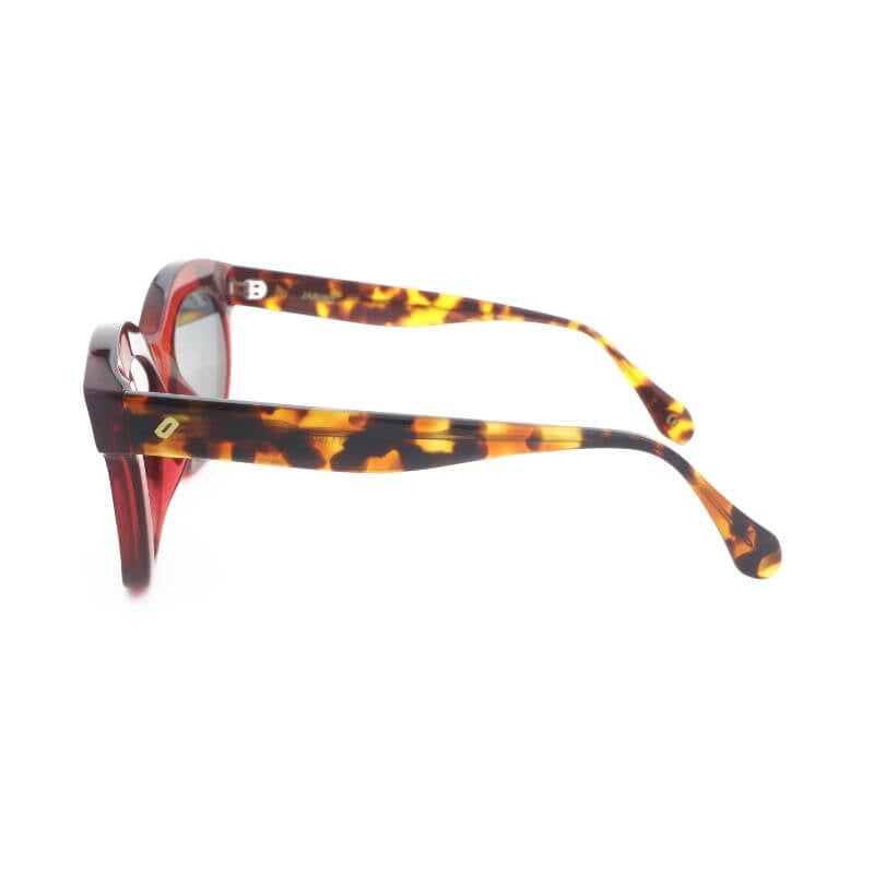 Jabiru - Bio Acetate Sunglasses - Willow & Luna