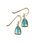 Kyanite Shield Rose Cut Earrings - Willow & Luna