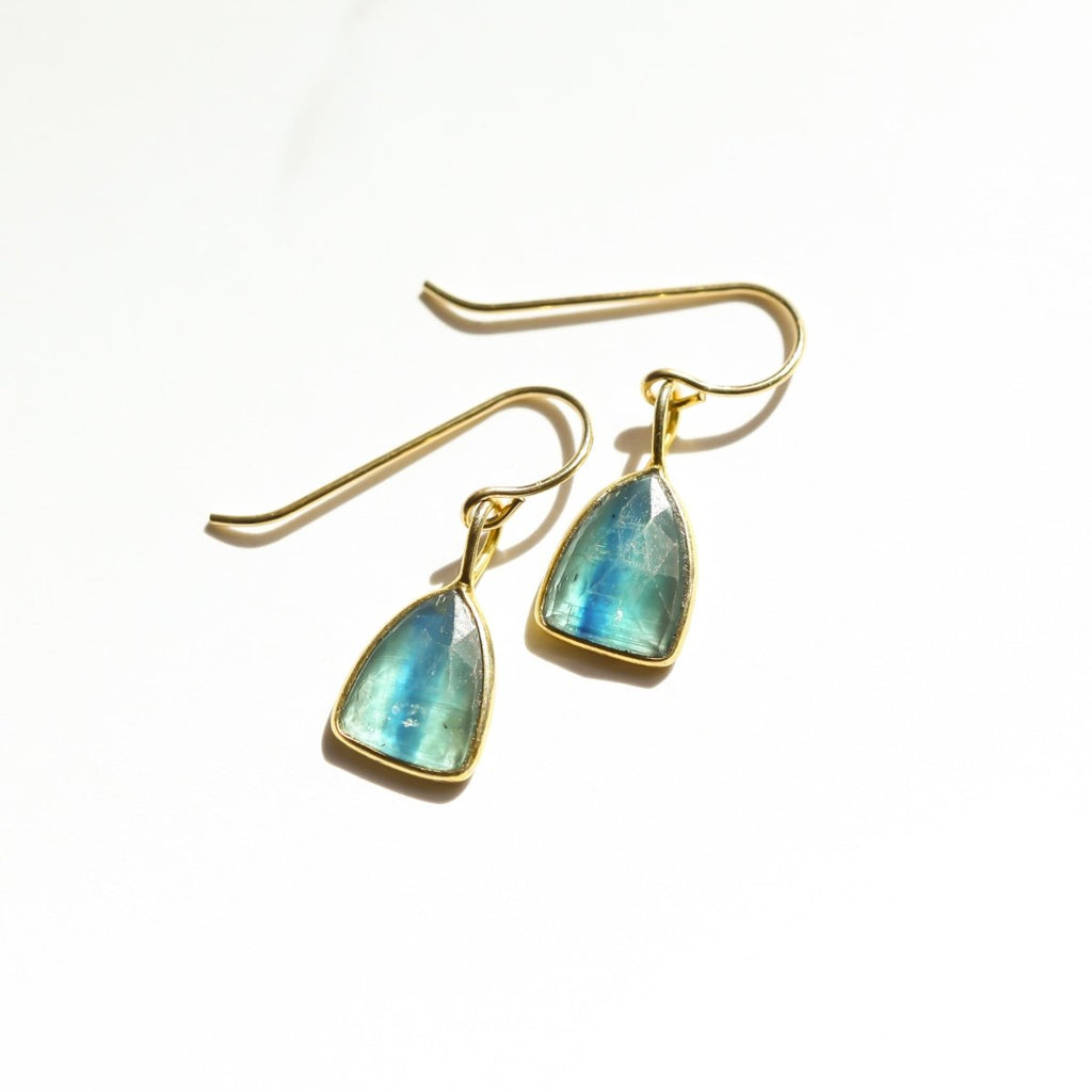 Kyanite Shield Rose Cut Earrings - Willow & Luna
