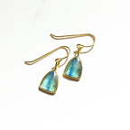Kyanite Shield Rose Cut Earrings - Willow & Luna