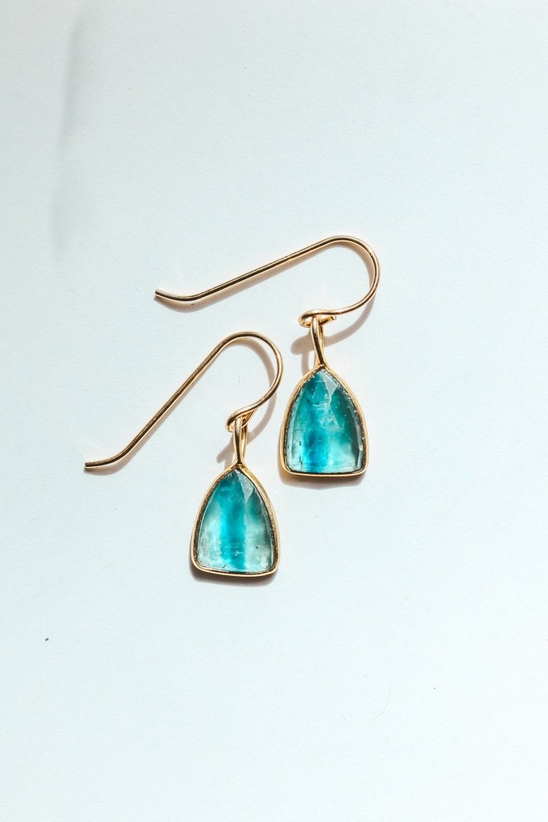 Kyanite Shield Rose Cut Earrings - Willow & Luna