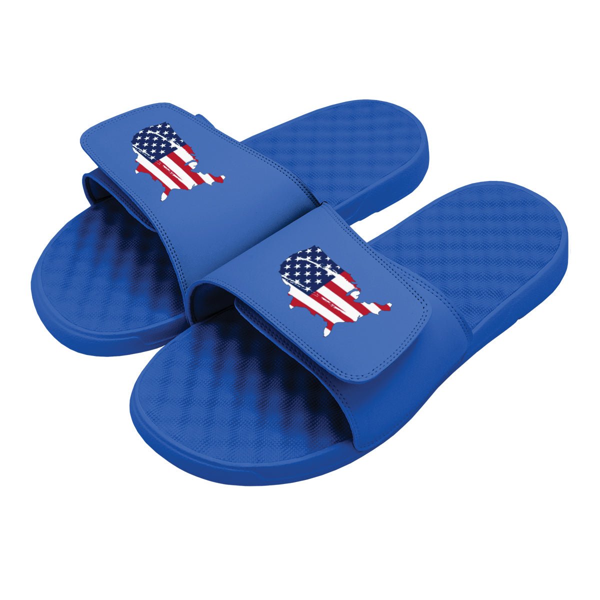 Land Of The Free Slides - Willow & Luna