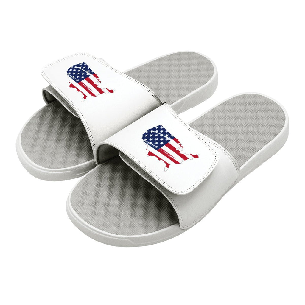 Land Of The Free Slides - Willow & Luna