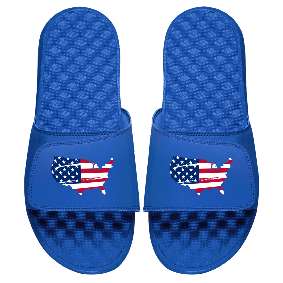 Land Of The Free Slides - Willow & Luna