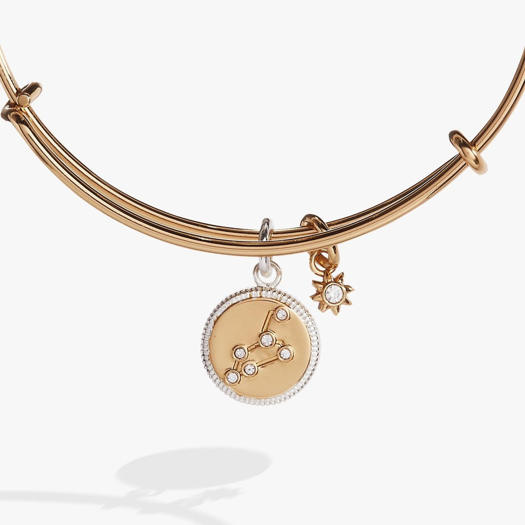 Leo Zodiac Charm Bangle - Willow & Luna