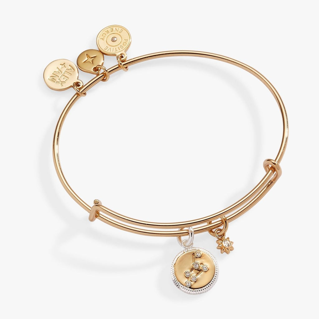 Leo Zodiac Charm Bangle - Willow & Luna