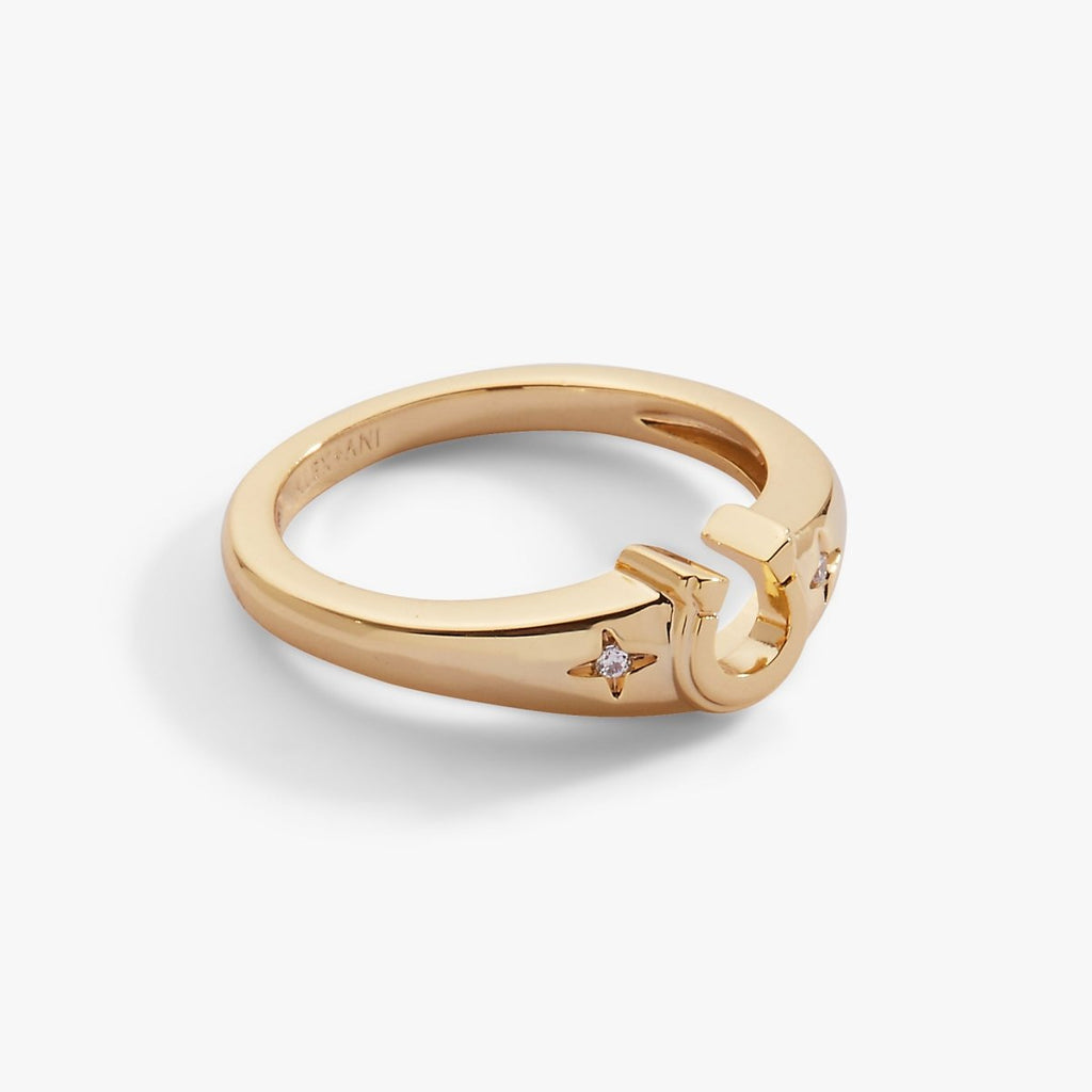 Lucky Horseshoe Ring - Willow & Luna