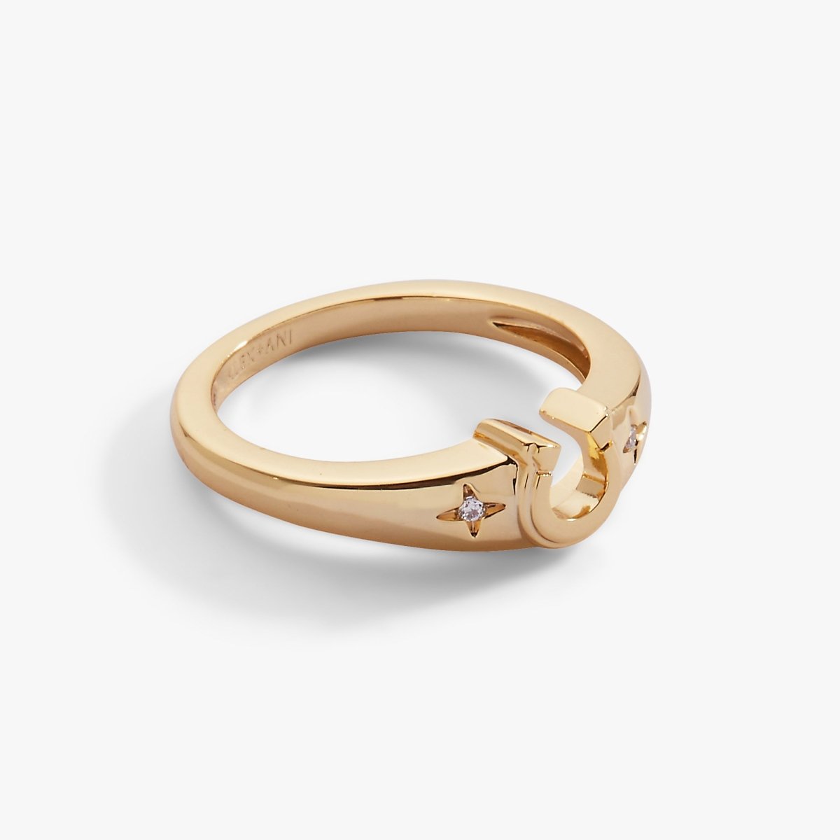 Lucky Horseshoe Ring - Willow & Luna