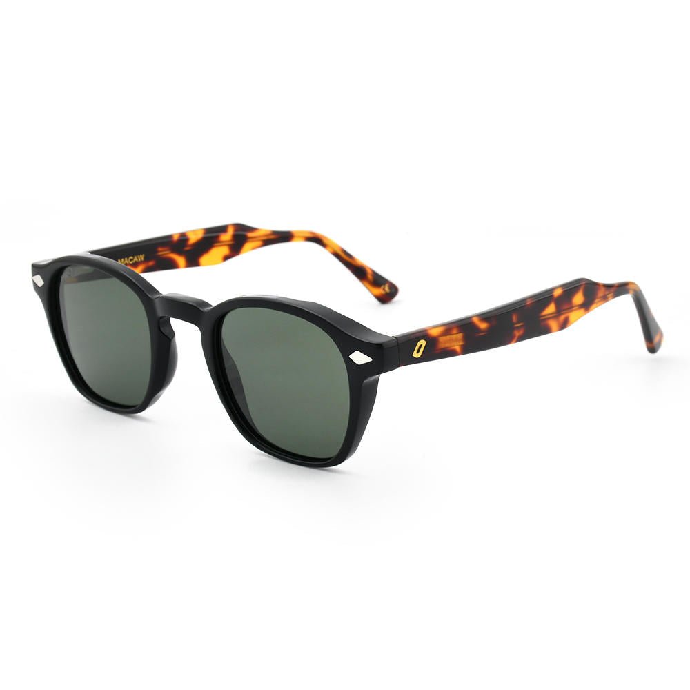Macaw - Bio Acetate Sunglasses - Willow & Luna