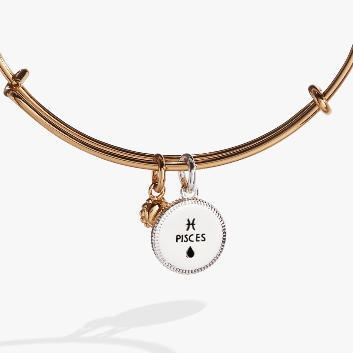 Pisces Zodiac Charm Bangle - Willow & Luna