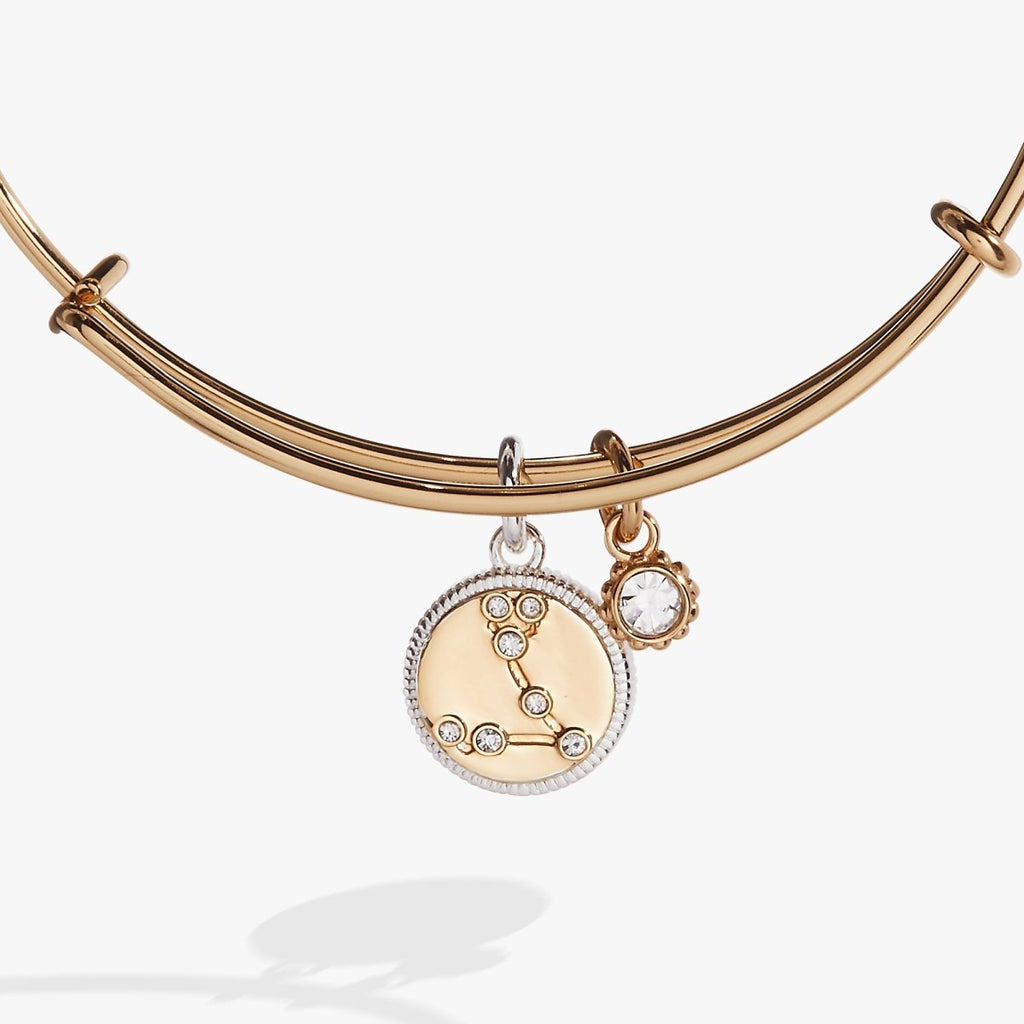 Pisces Zodiac Charm Bangle - Willow & Luna