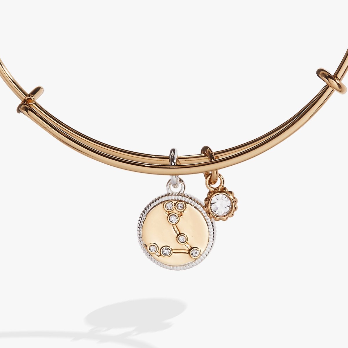 Pisces Zodiac Charm Bangle - Willow & Luna