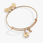 Pisces Zodiac Charm Bangle - Willow & Luna