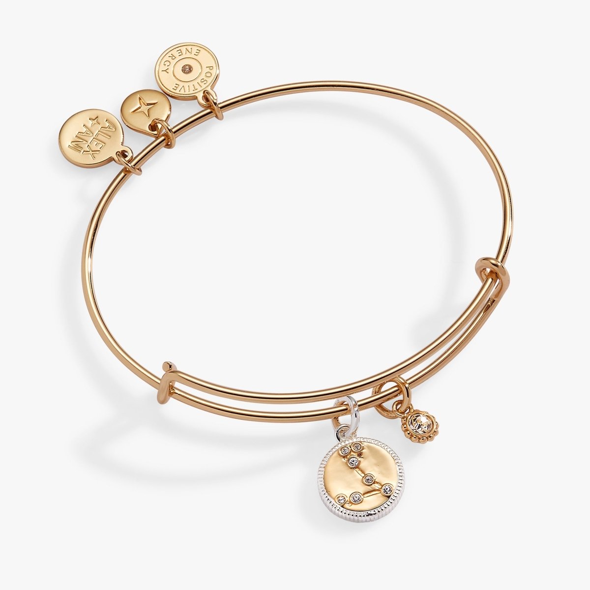Pisces Zodiac Charm Bangle - Willow & Luna