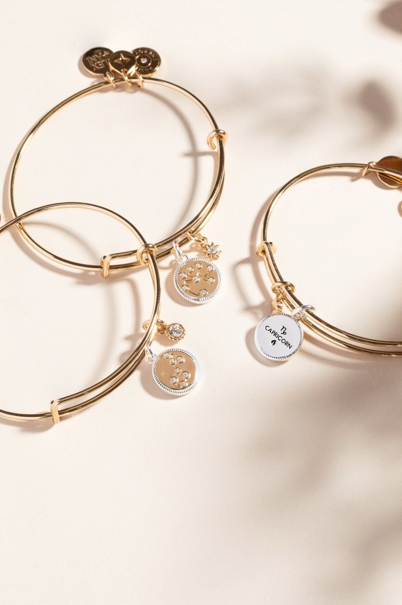 Sagittarius Zodiac Charm Bangle - Willow & Luna