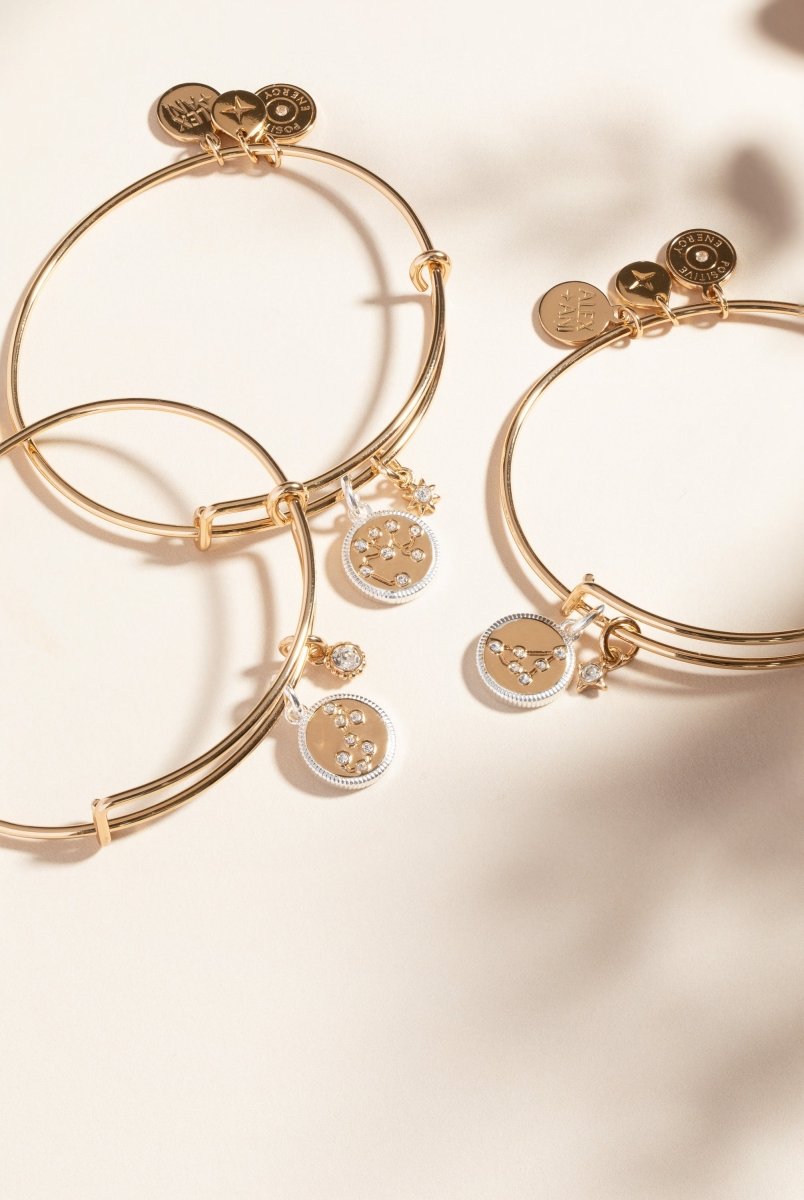 Sagittarius Zodiac Charm Bangle - Willow & Luna