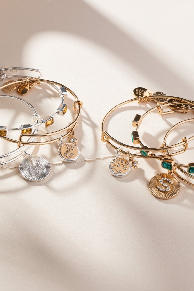 Sagittarius Zodiac Charm Bangle - Willow & Luna