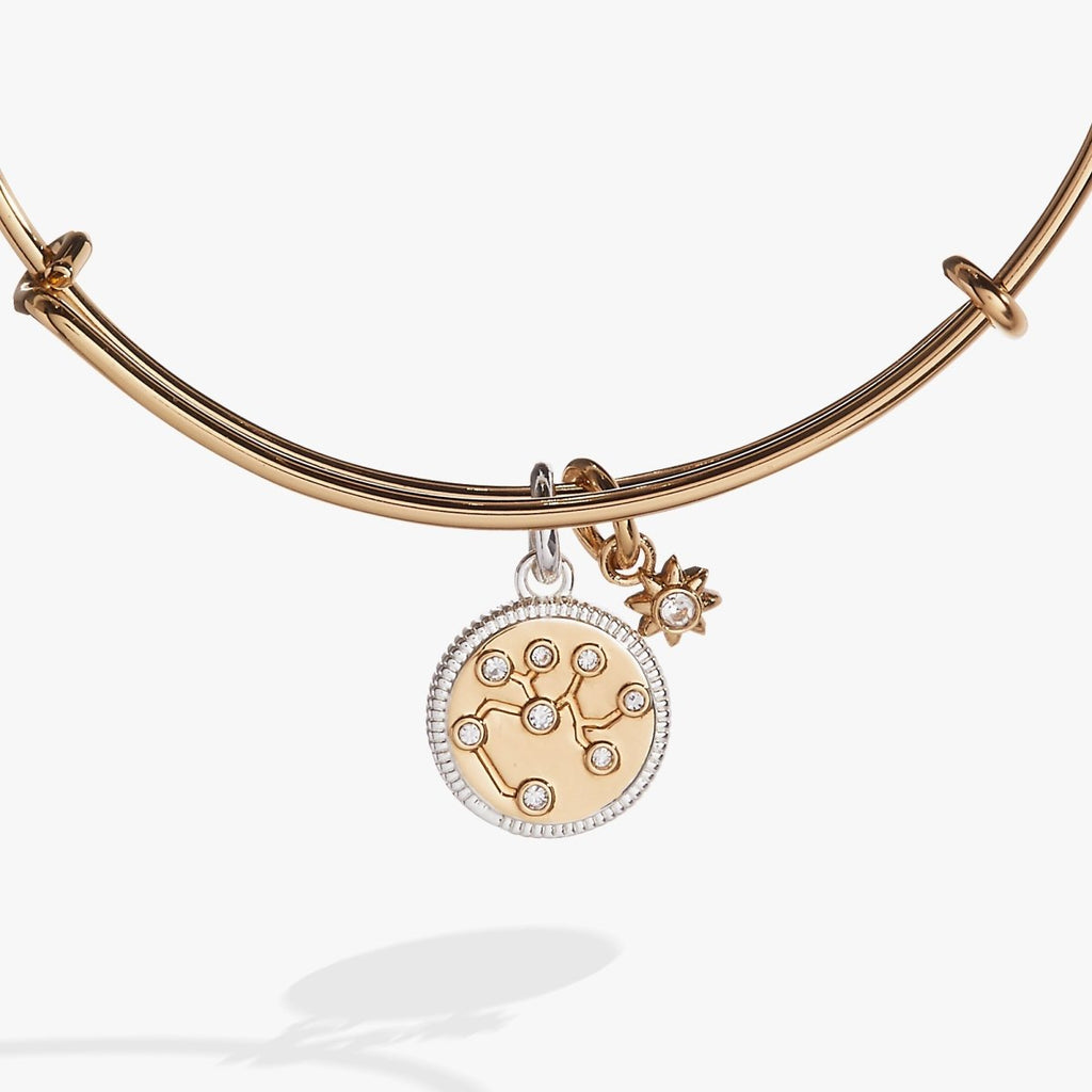 Sagittarius Zodiac Charm Bangle - Willow & Luna
